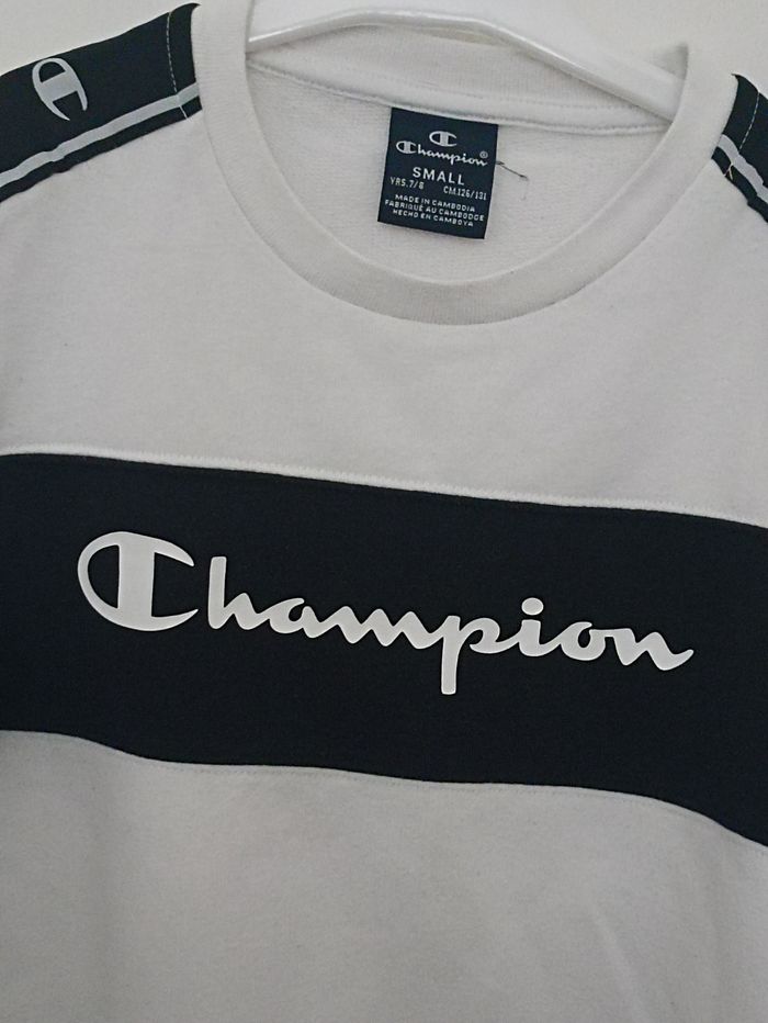 Pull champion - photo numéro 2