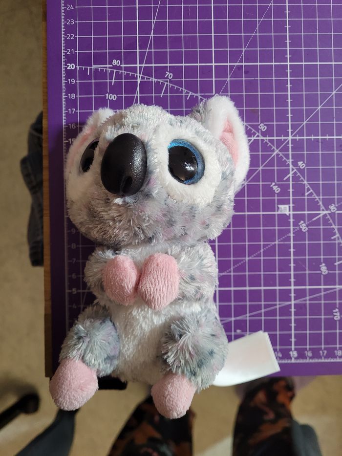 Koala - photo numéro 6