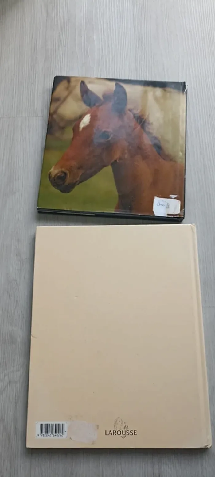 Lot deux livres chevaux et animaux sauvages - photo numéro 2