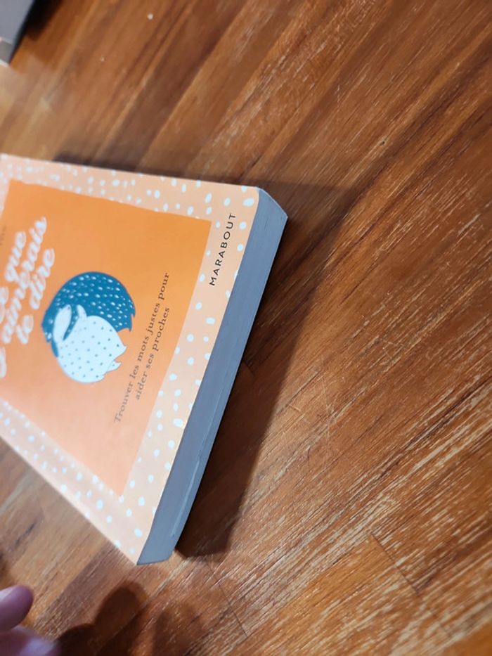 Livre : Ce que j'aimerai te dire - photo numéro 3