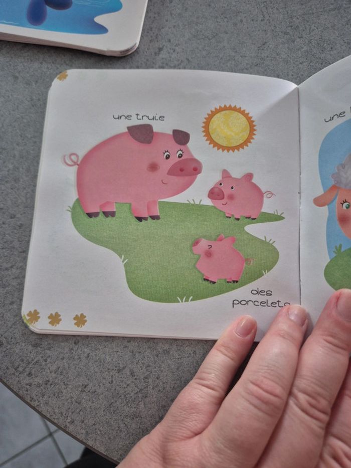 4 livres mini imagiers la ferme, les couleurs, la maison et la nature - photo numéro 10