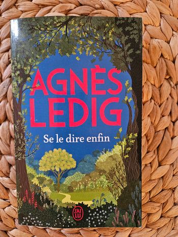Livre d'Agnes Ledig Se le dire enfin