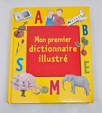 "Mon premier dictionnaire illustré".
256 pages.
En l'état