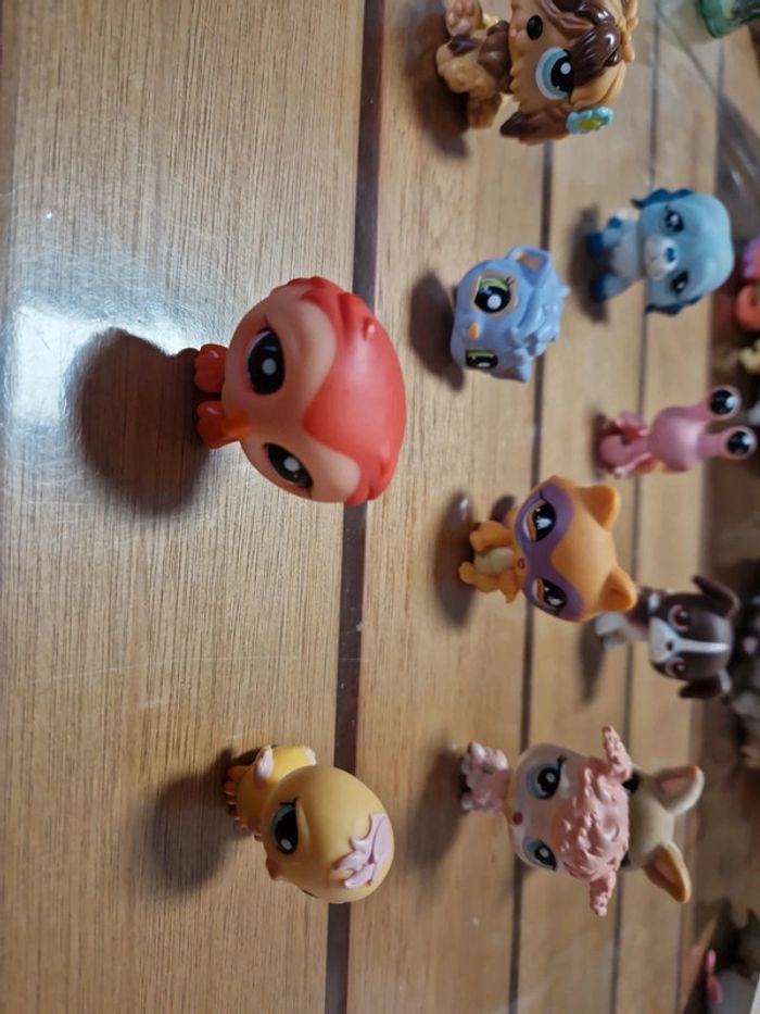 Lot Petshop (1) - photo numéro 3