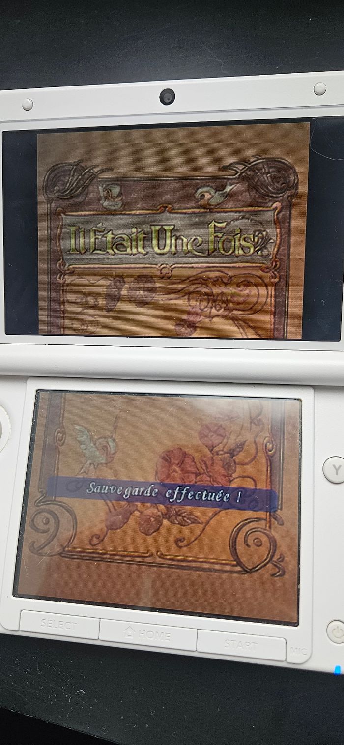 Jeu Nintendo DS – Enchanted : Il était une fois - photo numéro 5