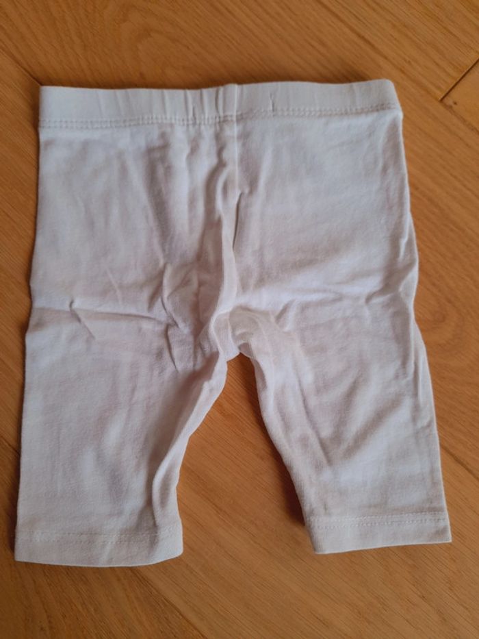 Pantacourt - photo numéro 3