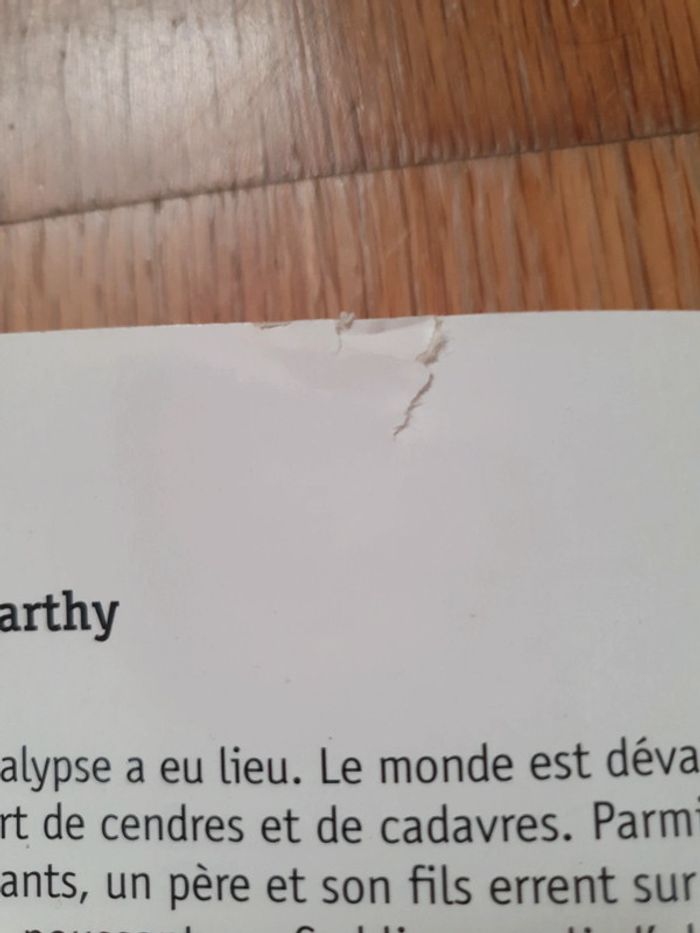 La route - photo numéro 3