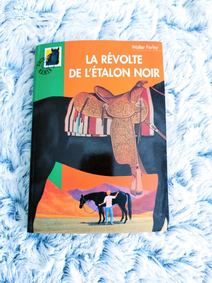 Livre pour enfant bibliothèque verte : La révolte de l'étalon noir 🖤