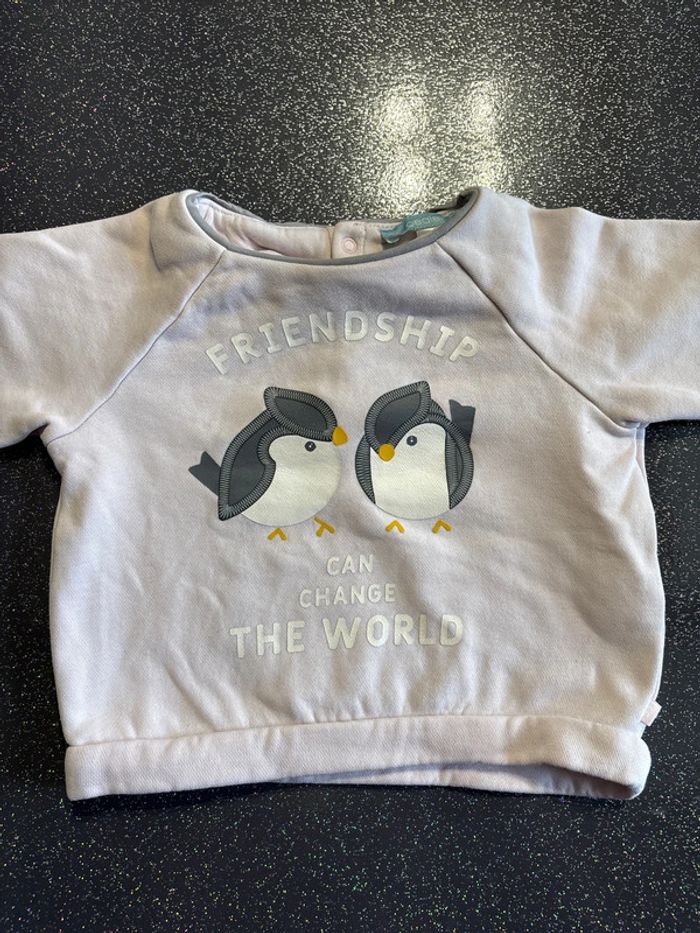 Pull oiseaux