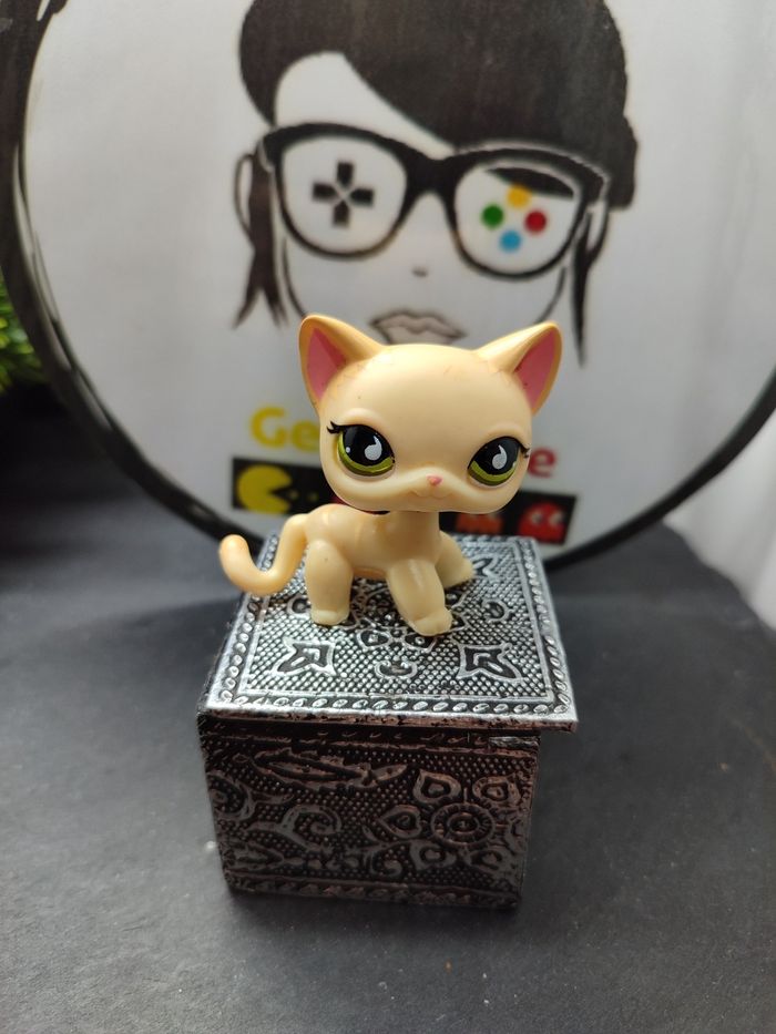 Lps01113 My Littlest Petshop Pet Shop LPS Authentic Chat Cat Shorthair 733