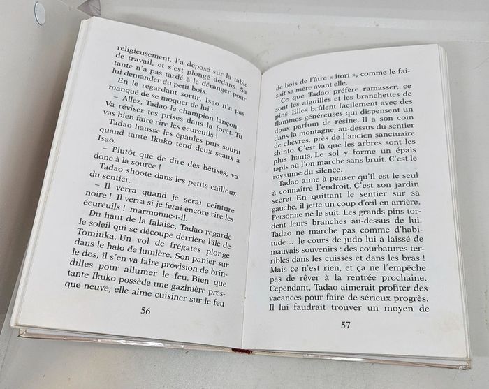 "Un kimono pour Tadao", de Yves-Marie Clément.
Cascade.
128 pages - photo numéro 4