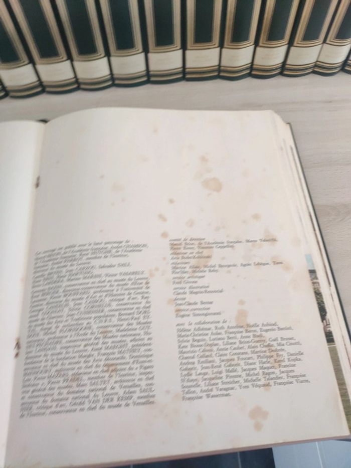 Lot de 15 tomes livres les muses encyclopédie histoire de l'art Grange Batelière - photo numéro 3