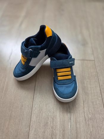 Sneakers Geox Respire T26