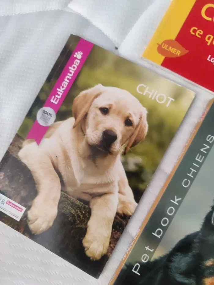 Livre sur le chien - photo numéro 3