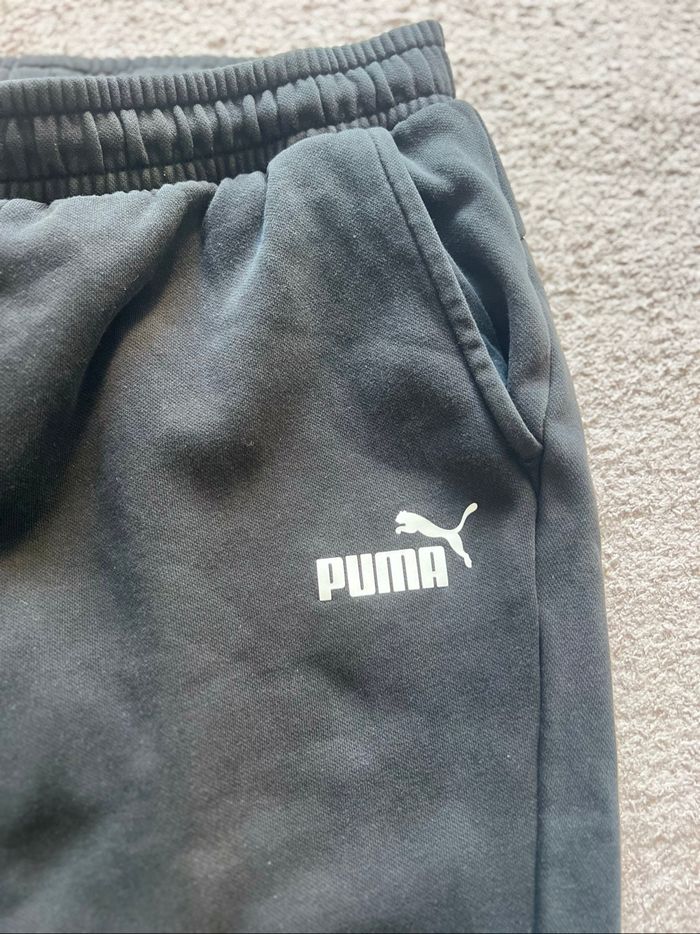 jogging puma L - photo numéro 2