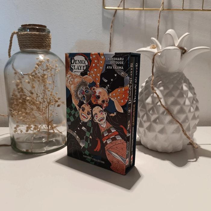 Manga demon slayer coffret collector 19