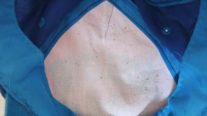 Lot casquettes Marvel Spiderman - photo numéro 8