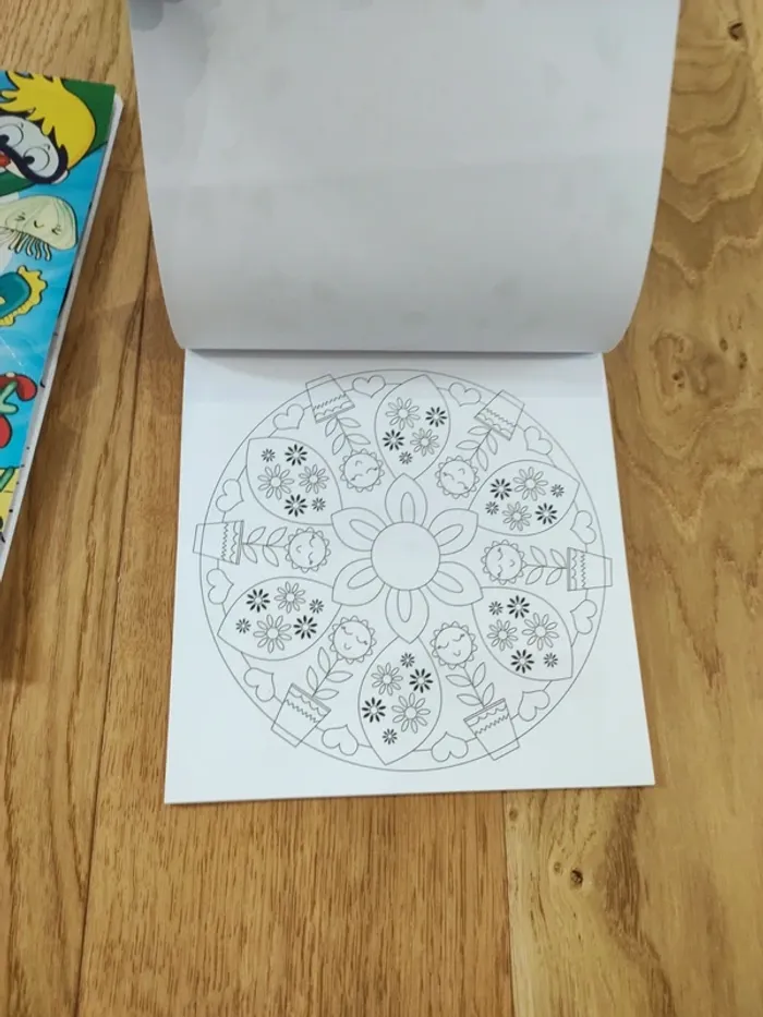 Lot 3 livres de coloriage - très bon état - photo numéro 12