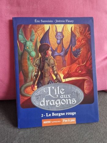 Livre l'île aux dragons 🐉 Le Borgne rouge