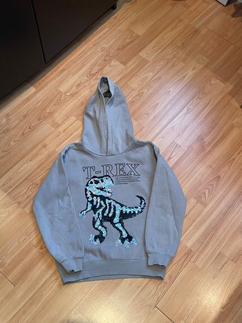 Sweat-shirt dinosaure 