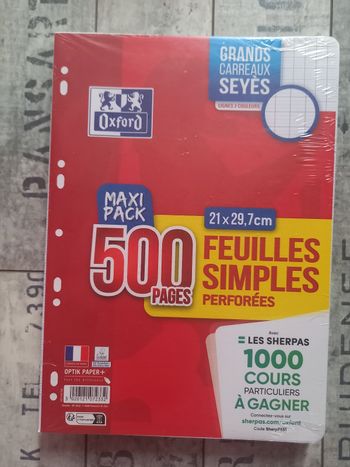 Copie double perforées  x 500 Oxford
