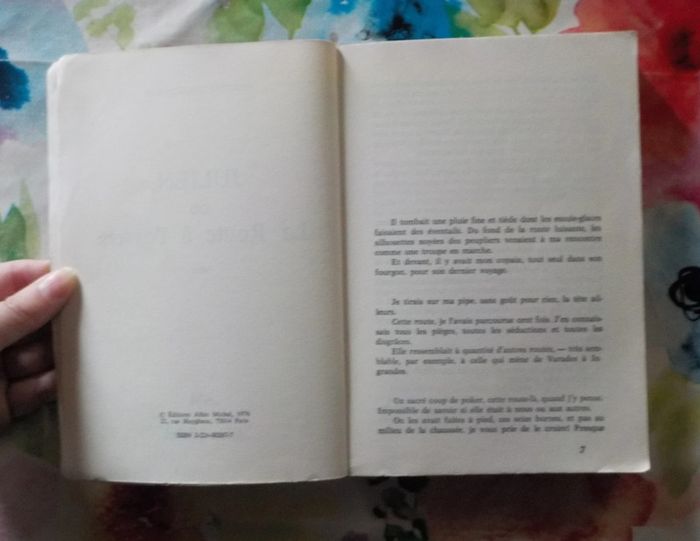 Julien ou la route à l'envers de Philippe Ragueneau Ed. Albin Michel - photo numéro 6