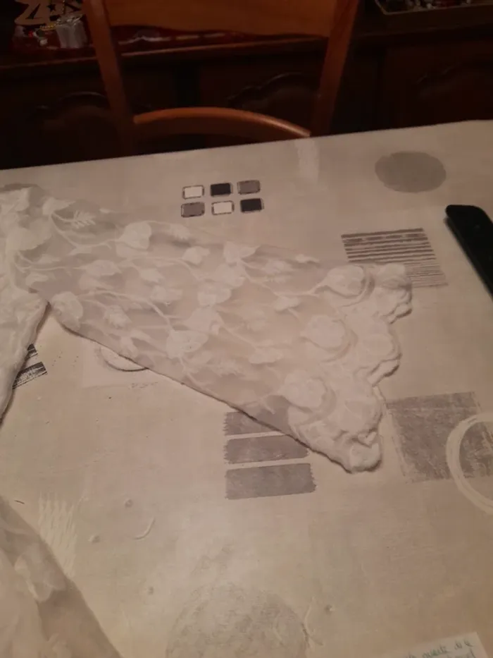 Combi short - photo numéro 5