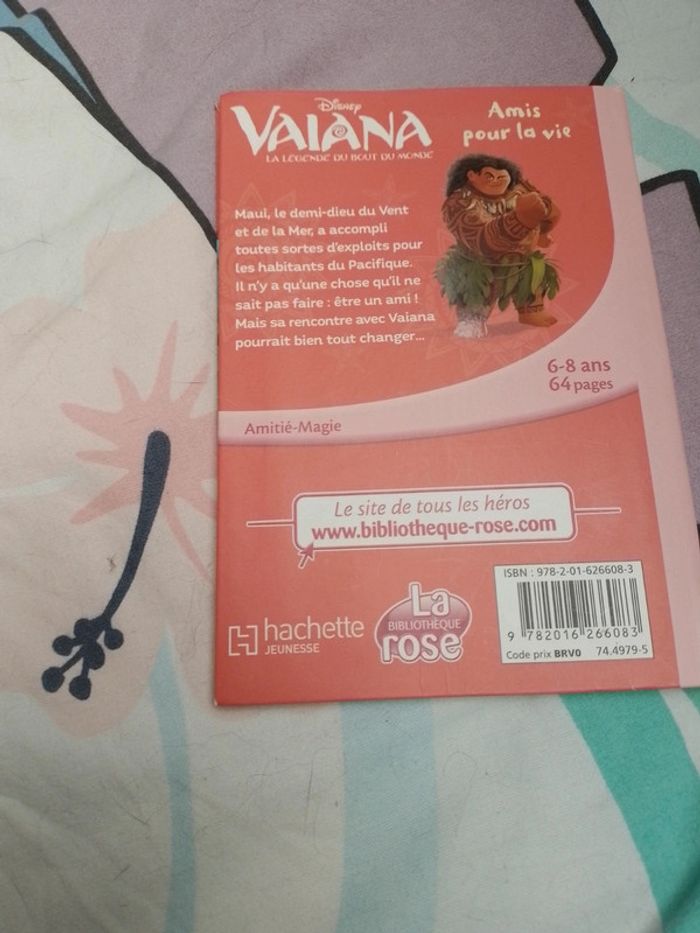 . Vaiana la légende du bout du monde amis pour la vie - photo numéro 2
