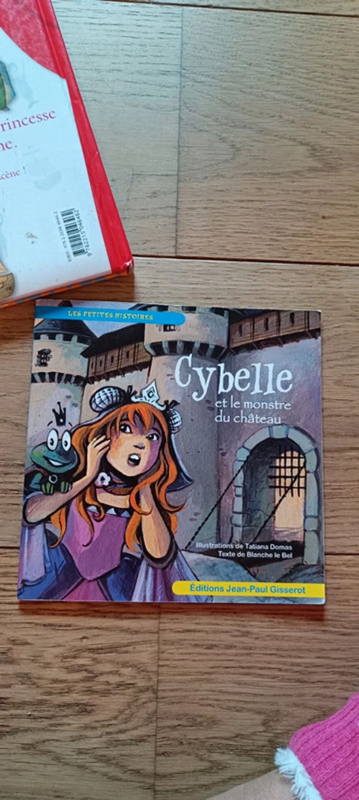 Lot livres - photo numéro 5