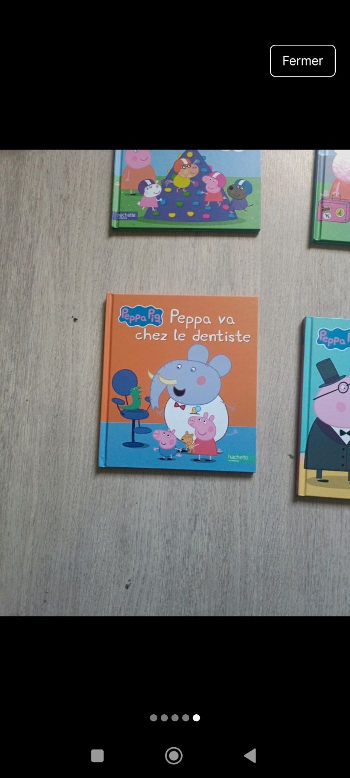 Lot livre Peppa pig - photo numéro 5