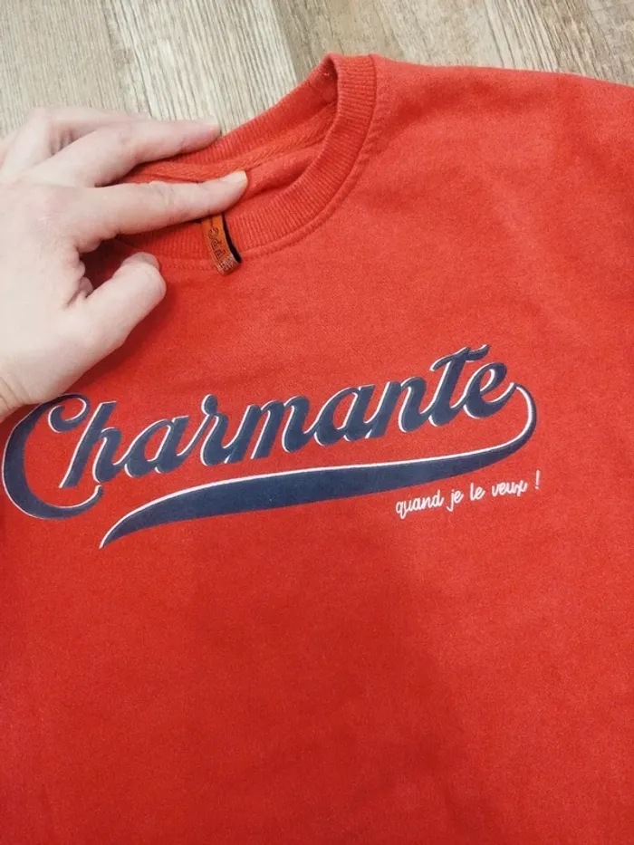 Pull charmante quand je veux ! 14ans marque fpc - photo numéro 2