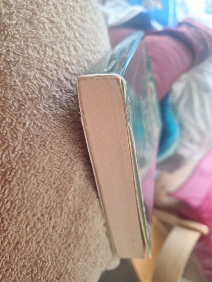 Livre le jour de la création - photo numéro 2