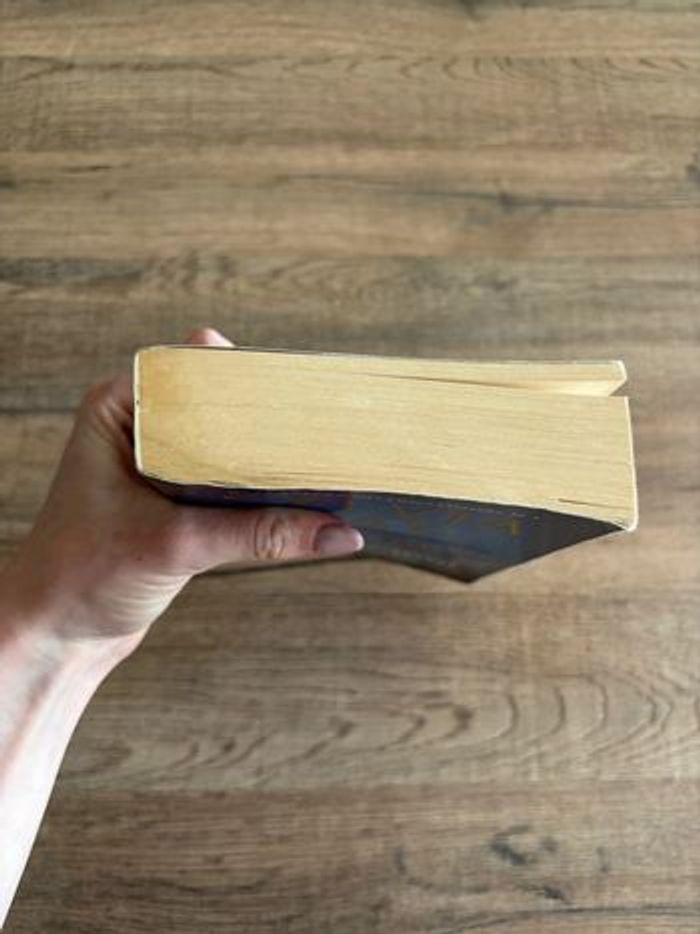 livre Crosstire T4 : Fascine-moi de Sylvia - photo numéro 4