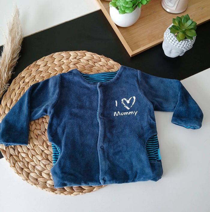 Veste polaire garçon Premaman Taille 9 Mois🌿🦁 - photo numéro 3