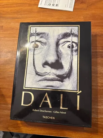Livre Dalí, l’œuvre peint