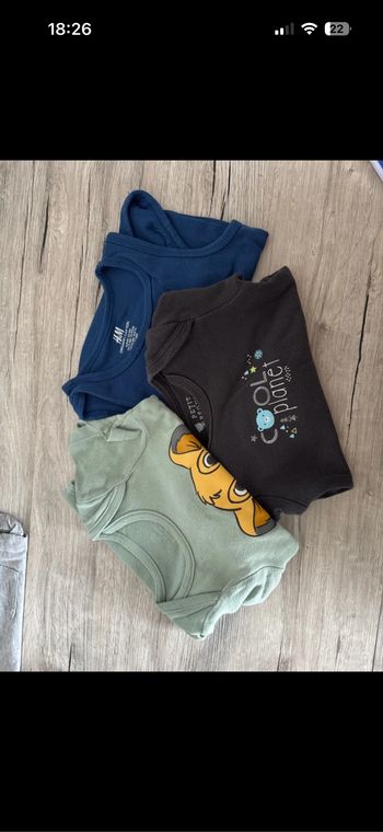 Lot Body