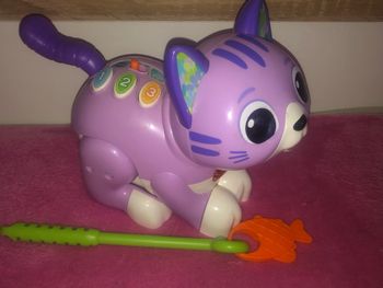 Mina mon petit chat 🐱