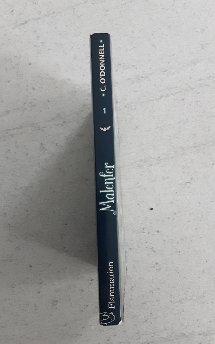 Livre Malenfer - photo numéro 3