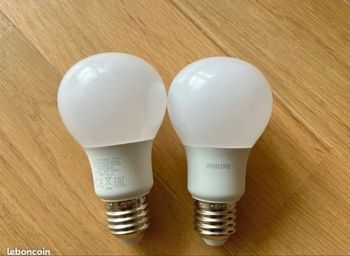 Lot de 2 ampoules Philips LED - Lumière blanc chaud -Standard E27 60W