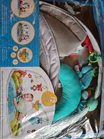 Tapis d'éveil tiny love