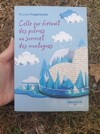 Super livre philo développement perso romancé