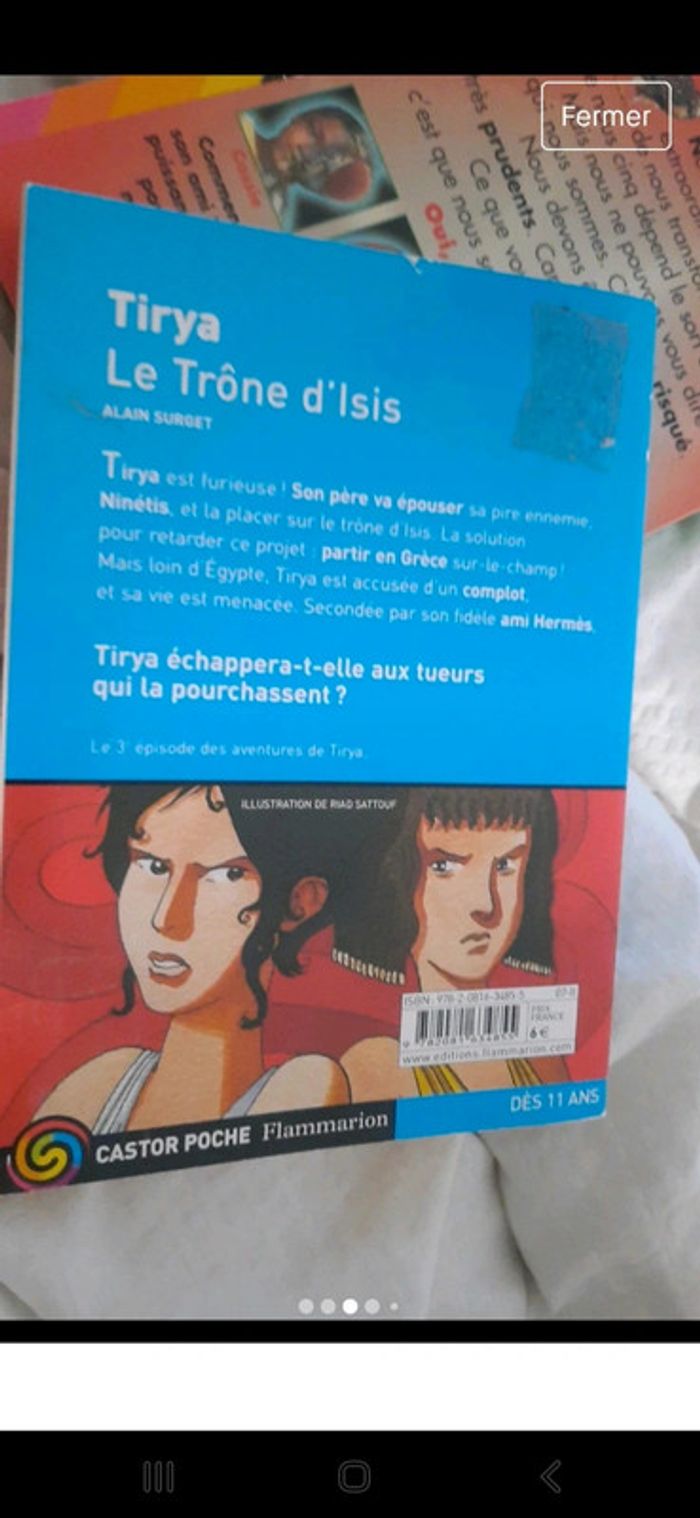 Livre castor flammarion 11ans - photo numéro 2