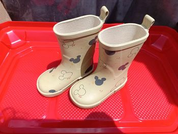 Botte mickey