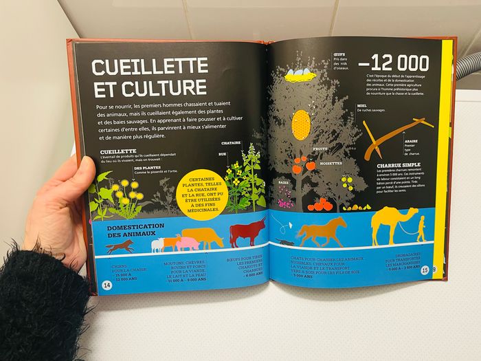 L’âge de Pierre - photo numéro 6