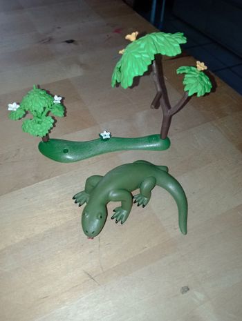 Arbre et crocodile