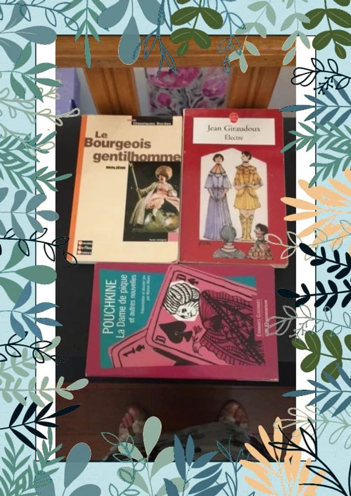 Lot de 3 livres de littérature