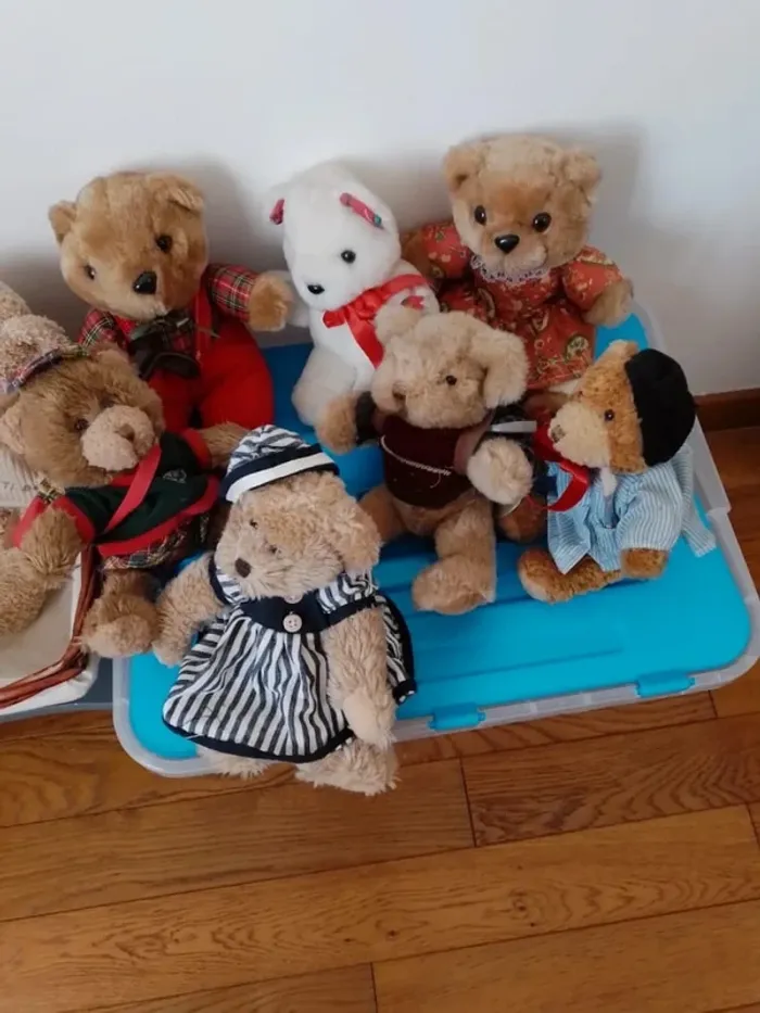 La famille Ours au grand complet. Qui l'adoptera pour la vie ? - photo numéro 5