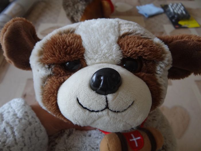 peluche ours neuve - photo numéro 4