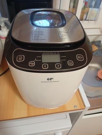 Machine a pain