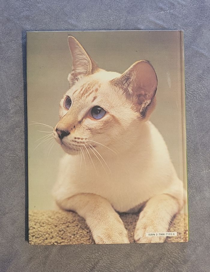 Les Chats (Kaleidoscope) - photo numéro 6